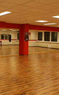 Willkommen beim Karate Dojo Ronin